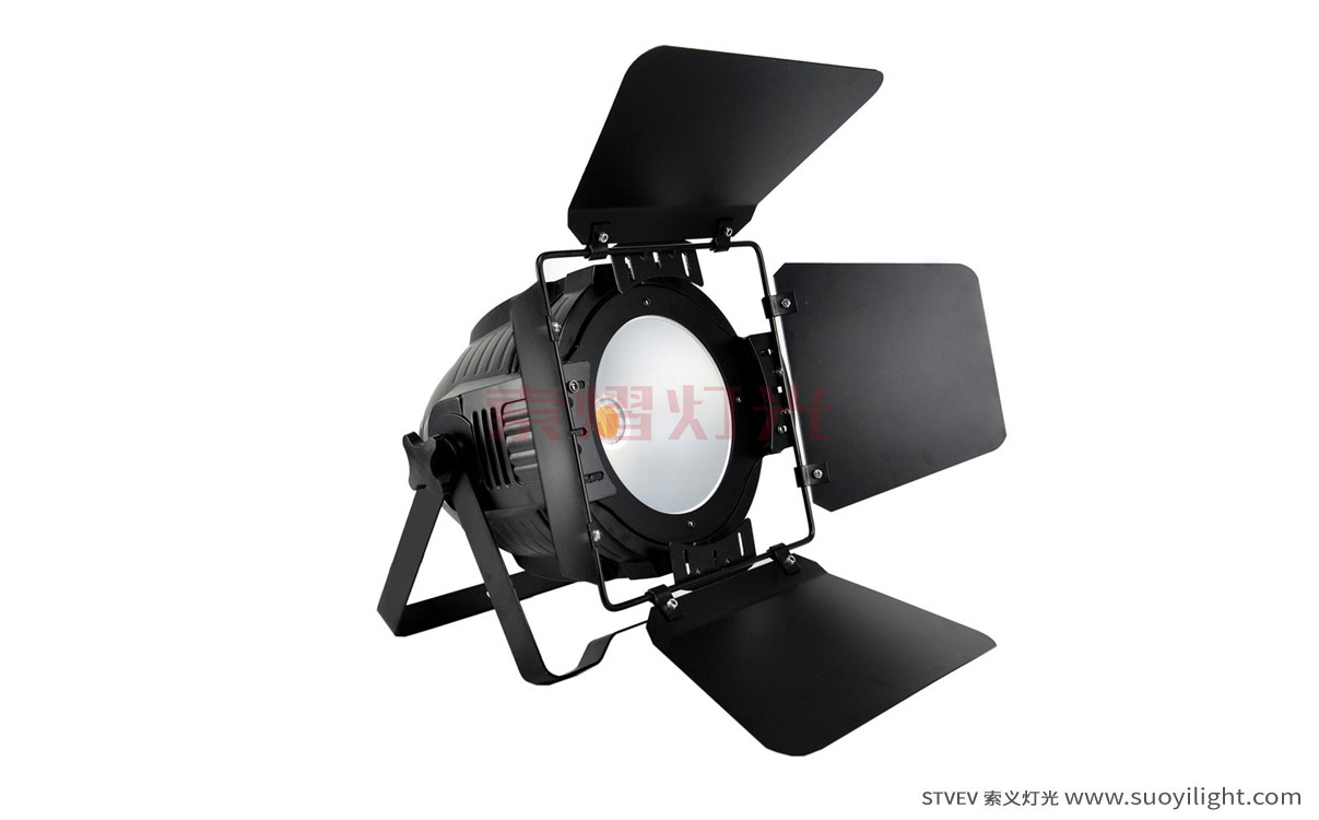 Pakistan200W COB LED Par Light