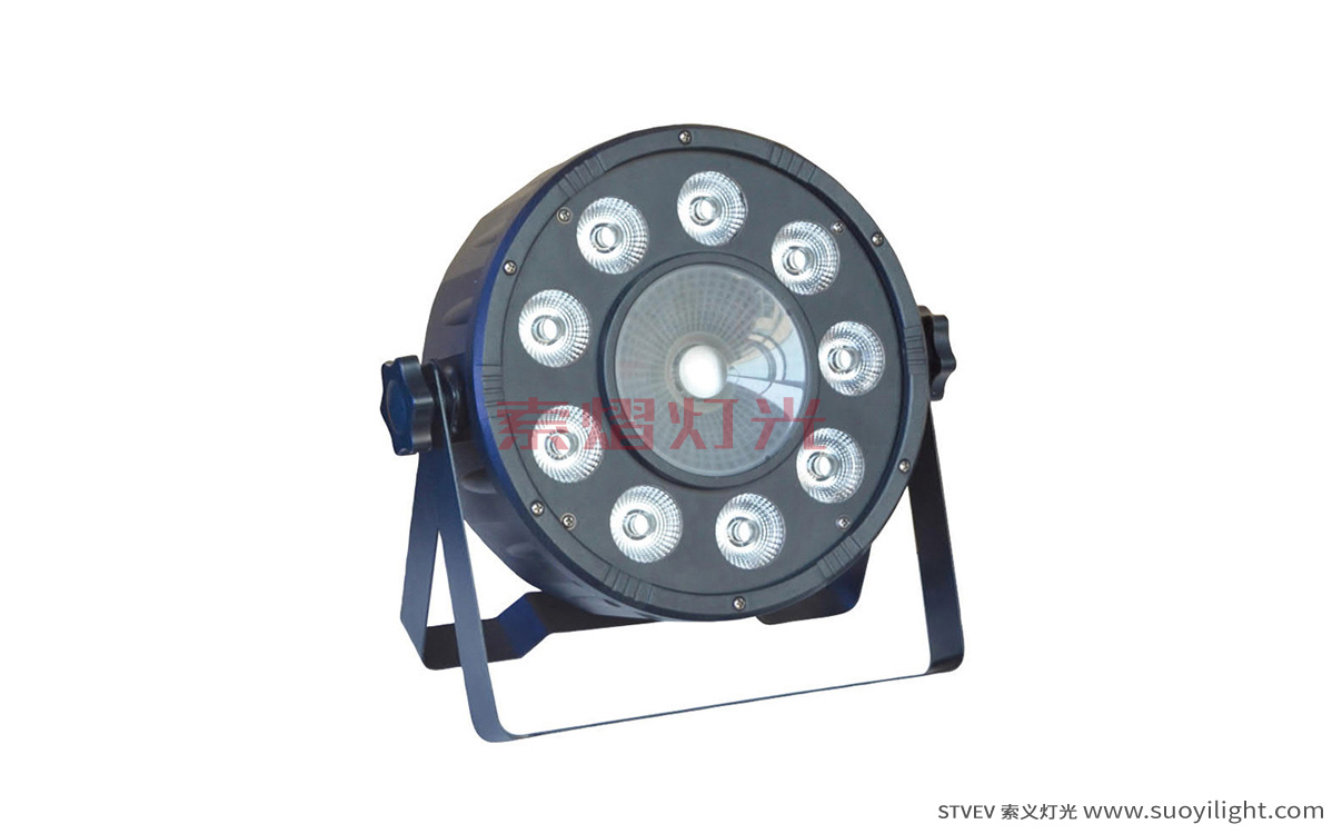 Pakistan9+1 LED Plastic Par Light