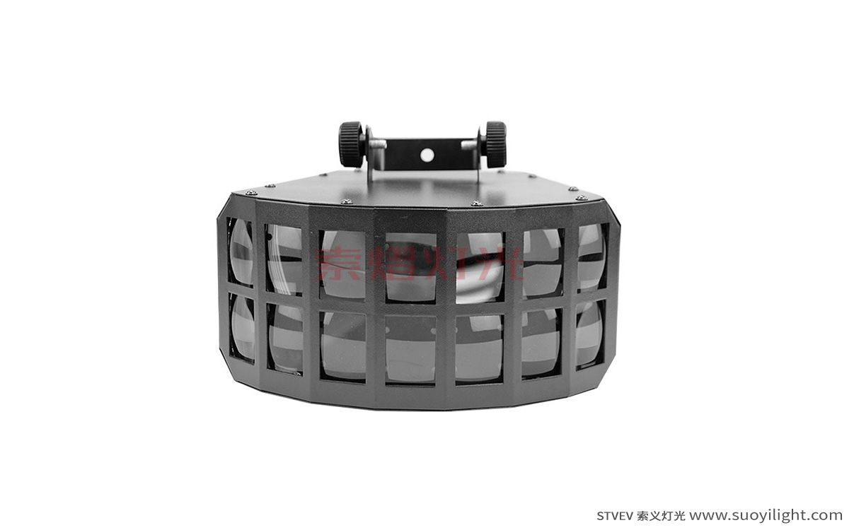 PakistanLED Double Butterfly Light