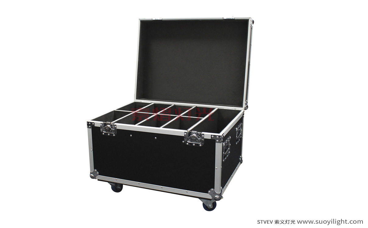 Pakistan8in1 Par Light Flight Case