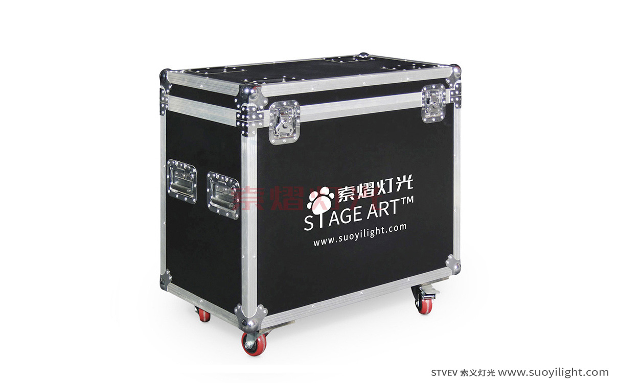 PakistanBeam Light Flight Case