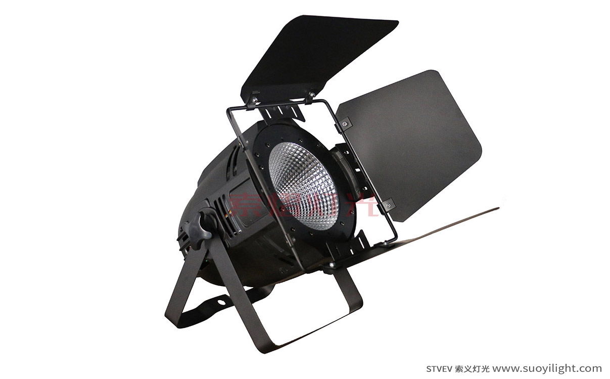 Pakistan100W LED COB Par Light