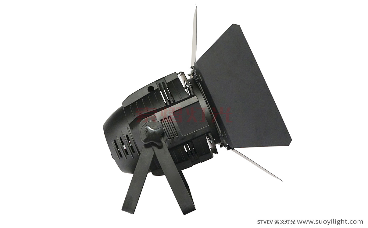 Pakistan100W LED COB Par Light