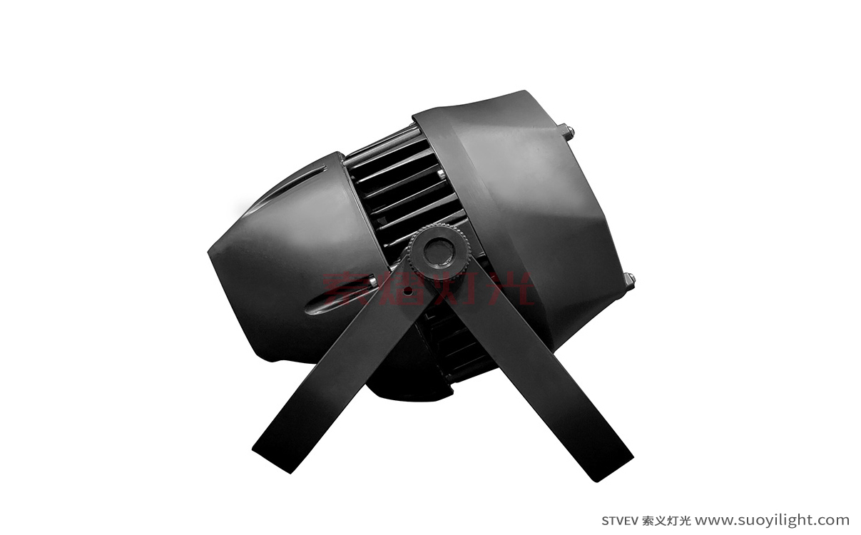Pakistan200W Waterproof COB Par Light