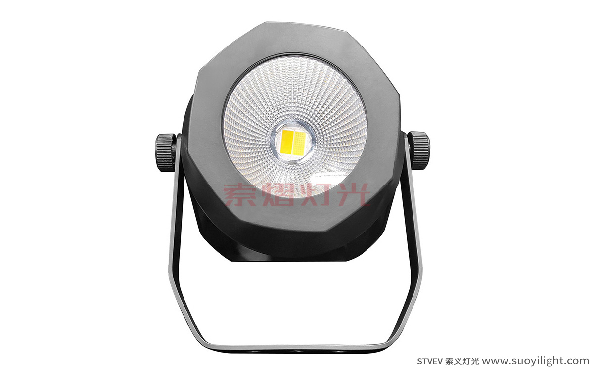 Pakistan200W Waterproof COB Par Light
